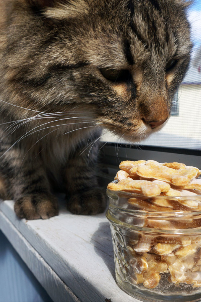 Tasty Tuna Cat Treats