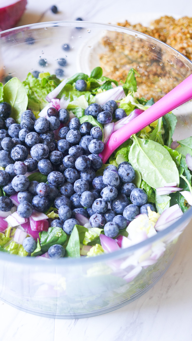 This Pistachio Crusted Chicken Salad is full of flavor! Packed with nuts, blueberries, and healthy greens, you won't want to stop eating!